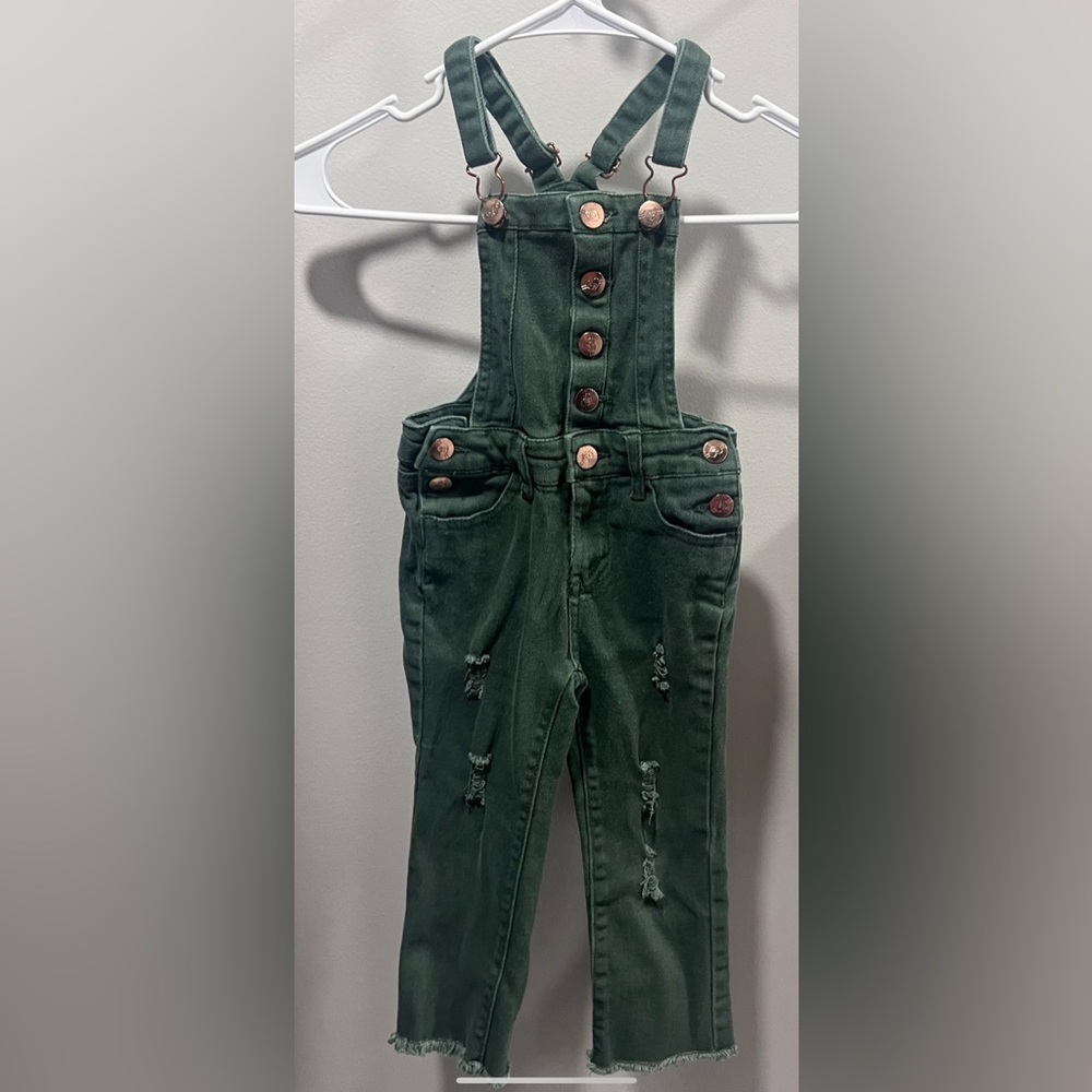 Toddler girl clothing lot